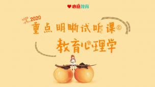 2020年学术教育学重点明晰试听课之教育心理学