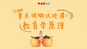 2020年学术教育学重点明晰试听课之教育学原理